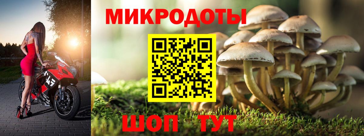 Галлюциногенные грибы прущие грибы  Вход с VPN  Железноводск  Галлюциногенные грибы Cubensis 
